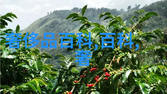 画面变身如何利用图解提升你的风格感知力