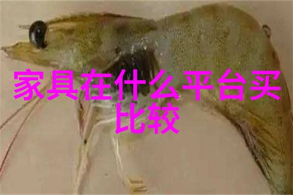 时尚之翼现代发型的艺术飞翔
