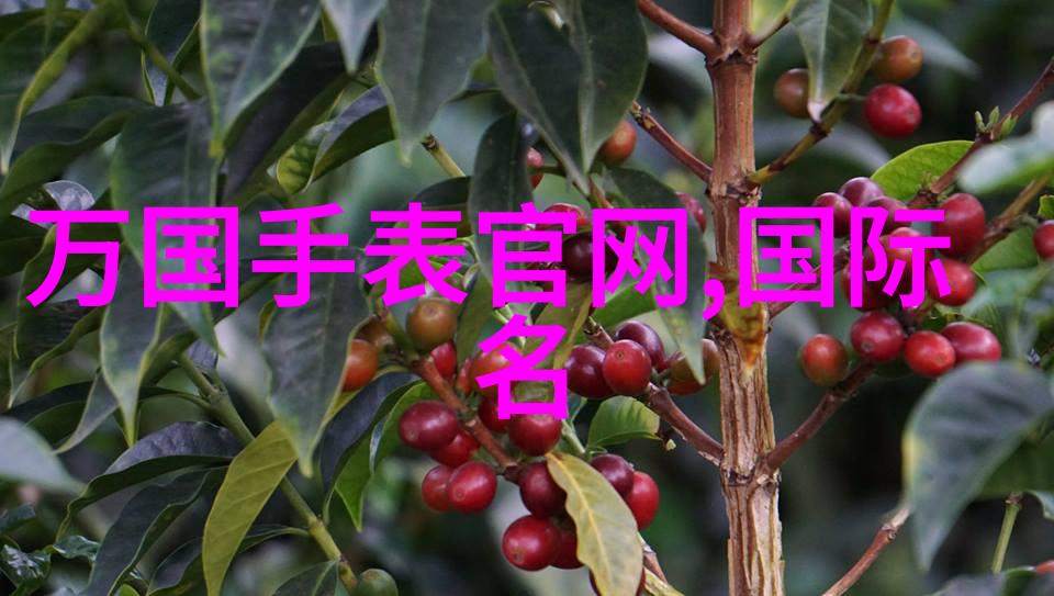 对于小型空间的特殊需求急招安装家具能否提供个性化解决方案
