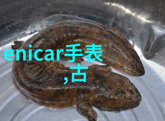 在社会的舞台上Sonos与合作伙伴并肩作战与行业领军者共襄盛举开启智能家居音响新篇章