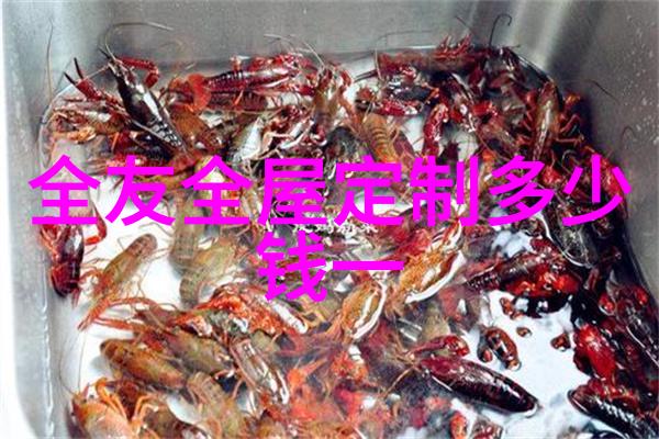 魅蓝手机国民美少女你爱的都在SNH学院每天都是情人节眼镜店投资需谨慎资金需求颇为庞大