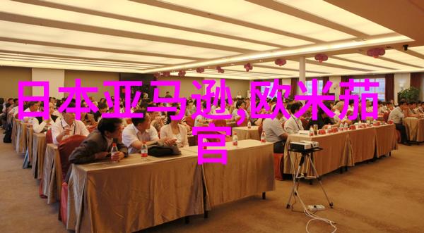 船鞋考古学揭秘海上贸易与文化交流的足迹
