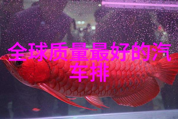 几乎没人知道放上这些懒人植物家里人的身体越来越健康