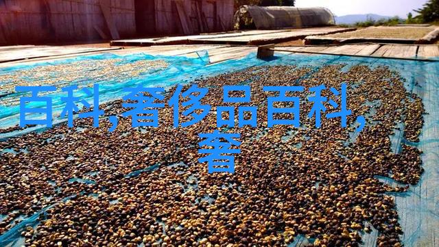 仓库里的秘密揭开黄色物资的神秘面纱