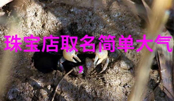 全方位压缩解决方案如何通过360压缩优化文件存储空间