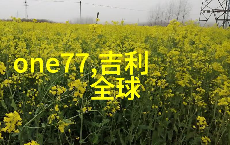 什么是阿美咔叽能否简单介绍一下它的历史背景
