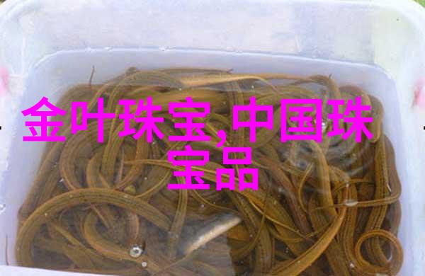 云帆远扬张云龙的海上征途