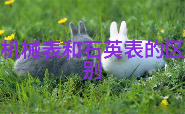 做错一题进去一次C-重铸梦想从错误中汲取力量的青春