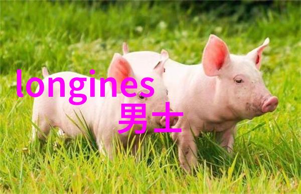 数字的守望者455的秘密传说