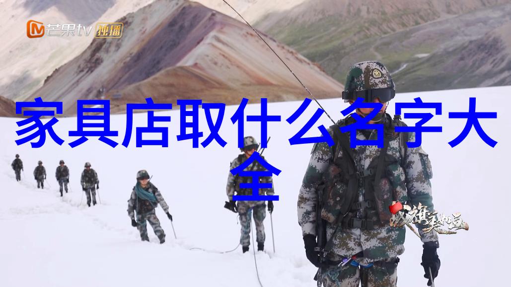 不辞冰雪为卿热逆寒情深的爱恋