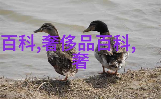 废帝为妃-沉默的宫廷废帝之妻的悲歌
