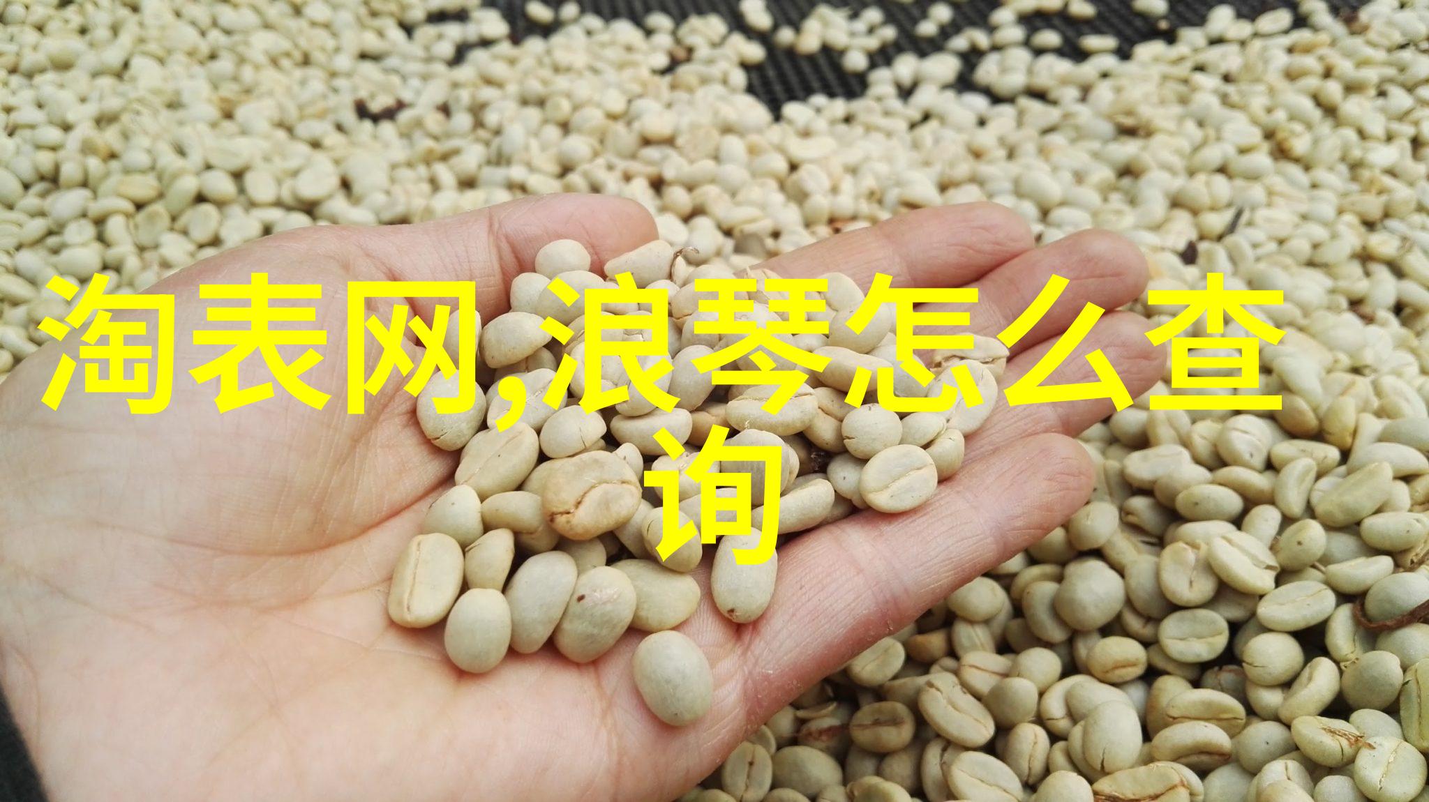 张鼎的奇幻冒险从古代学者到现代宅男