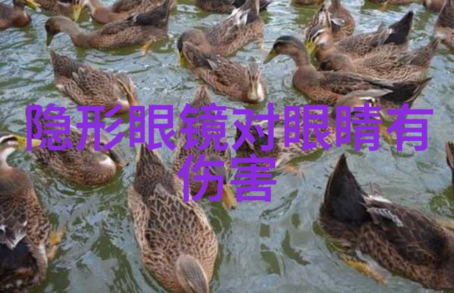 在3115年的社会中人与机器的关系将如何演变