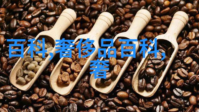 数字的双重力量探索202的科技与文化象征意义