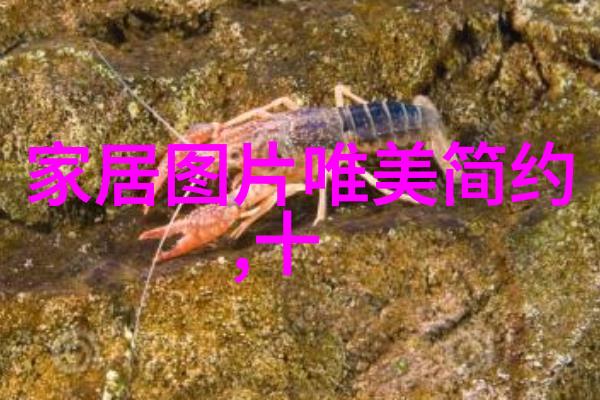 百度云上的葡萄成熟未删减版的丰收季节
