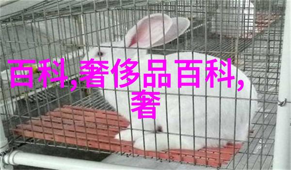 长发发型100种图片我来教你如何在网上找到最酷炫的长发造型灵感
