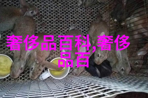 300013新宁物流我是如何在这家小地方物流公司遇到一个大波动的