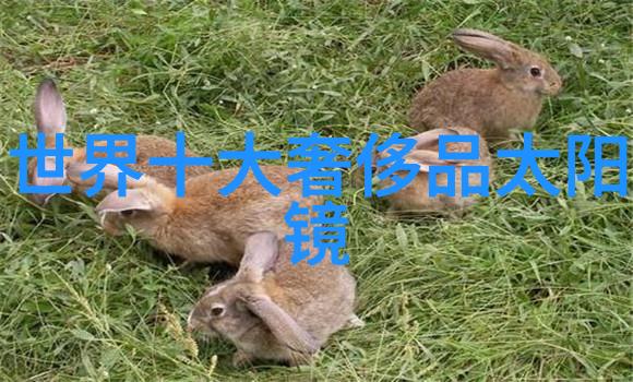 夜幕下的家具加工厂机器的低语与秘密的门