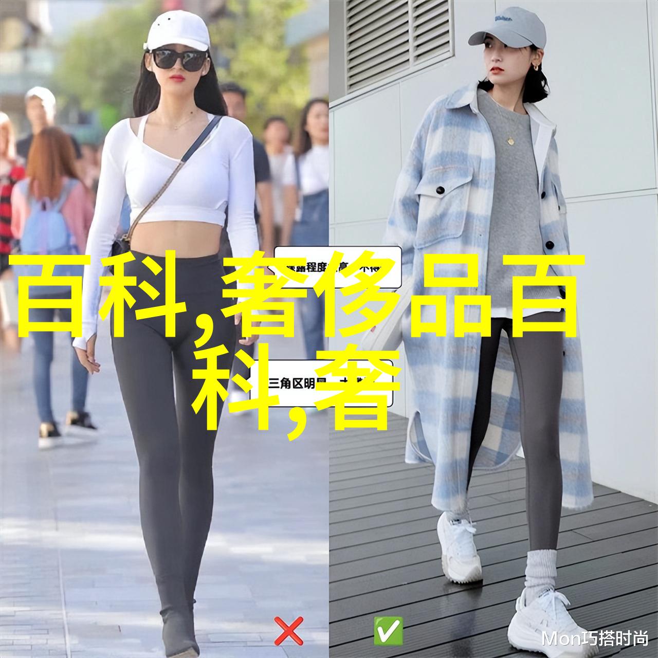 攀登生命之树爬虫的智慧与挑战
