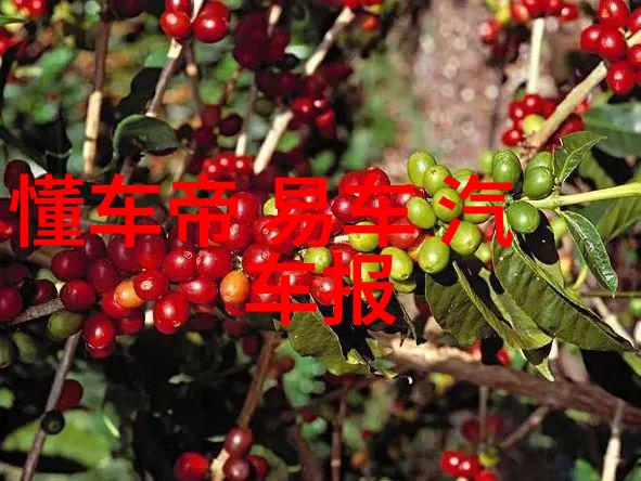 成长-从18岁到19岁青春的第一个跨越