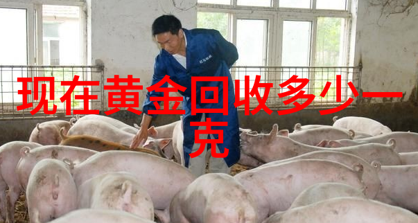 免费网站你懂我意思正能量WWW-传递正能量的无缝网上世界探索免费网站的魅力与意义