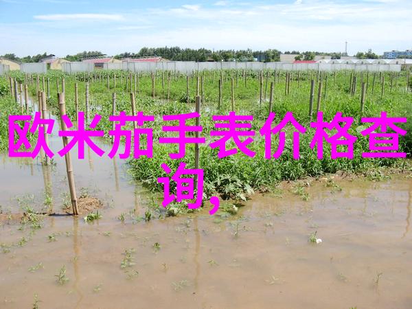时尚之选皮衣搭配艺术打造完美冬季时装