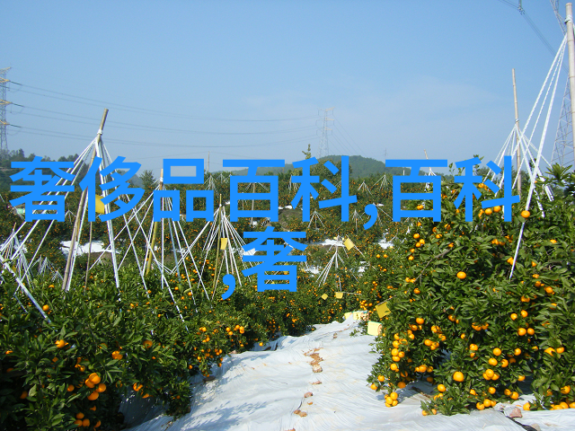 本季真我香水东方花香嗅觉升温