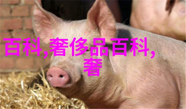 花都特工txt下载我是如何在网上找到了这本超火的都市小说的