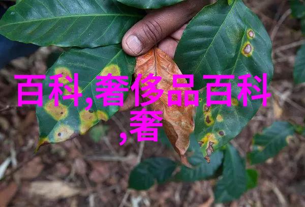 夏季必备轻盈双马尾发型教程