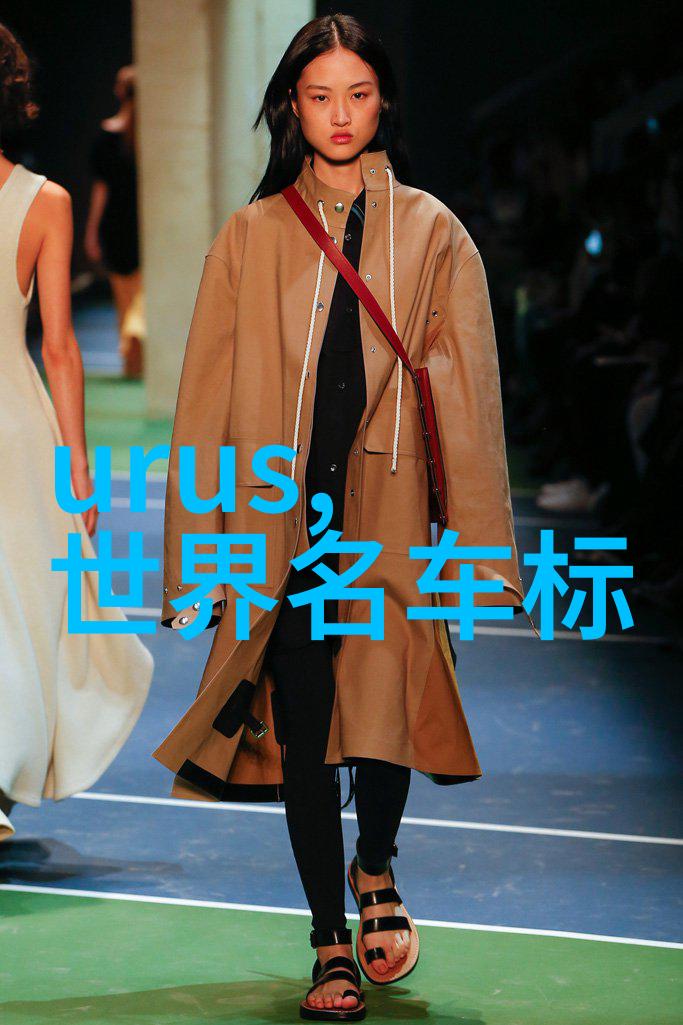 慢速撞击揭秘车内力量的演绎