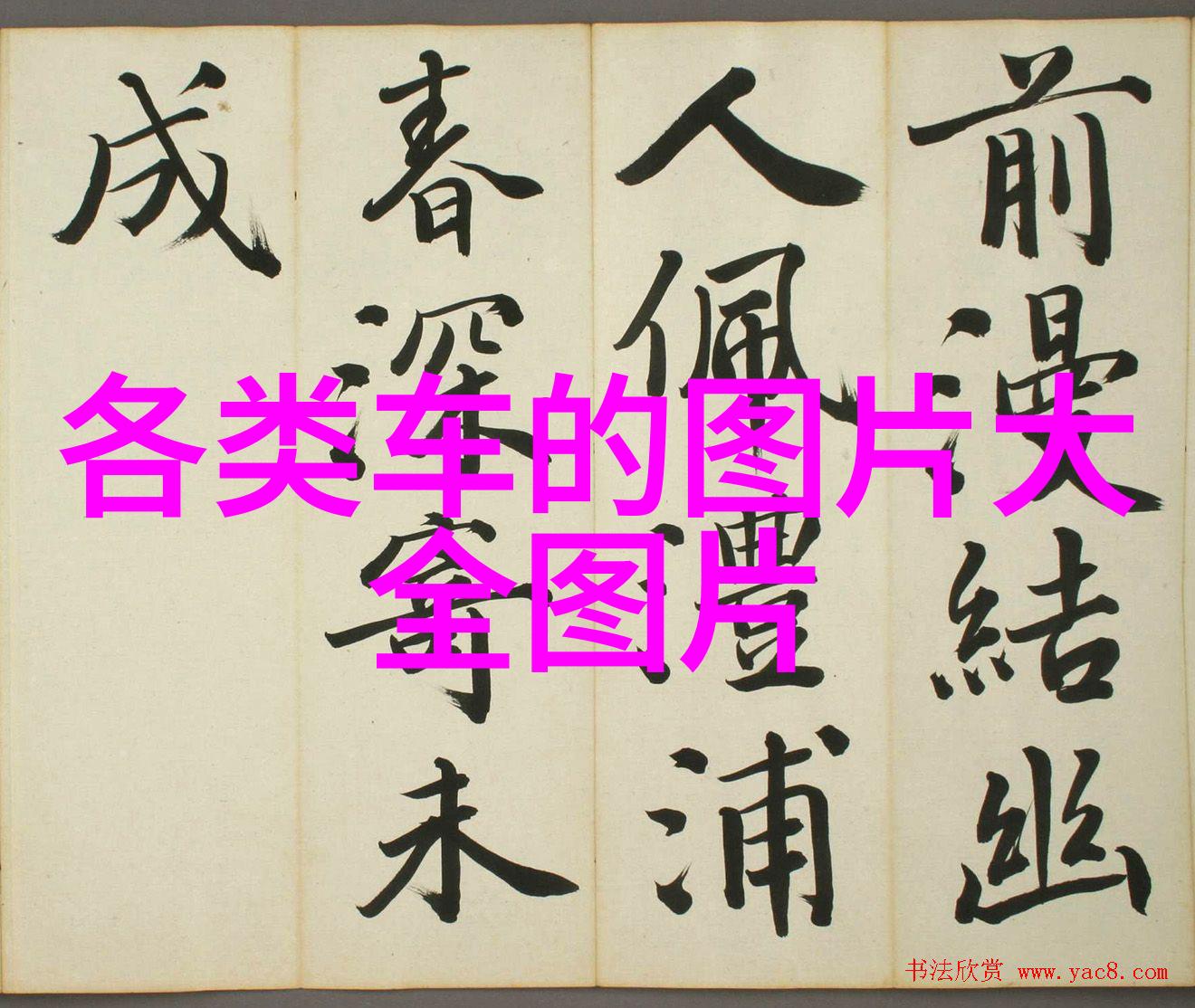 电推子使用技巧-掌握电推子0.8-2.0的正确用法