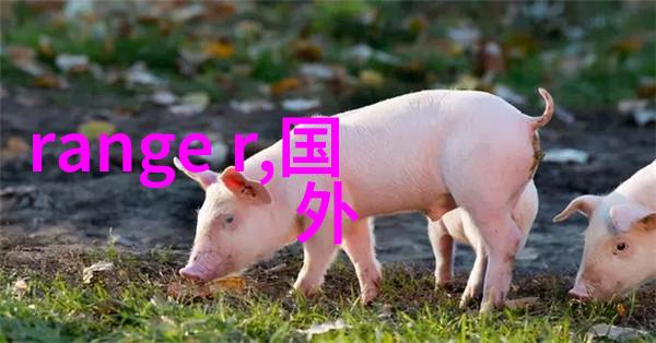 张宇 舞娘我和舞娘张宇的奇妙夜晚