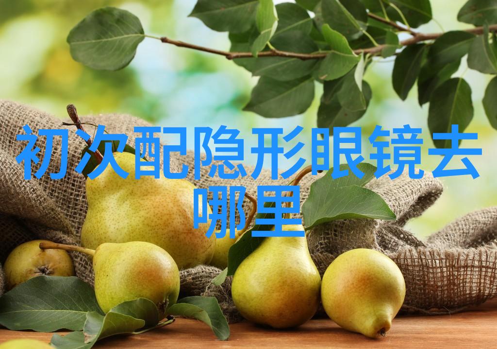 国模燕子翱翔历史的使者