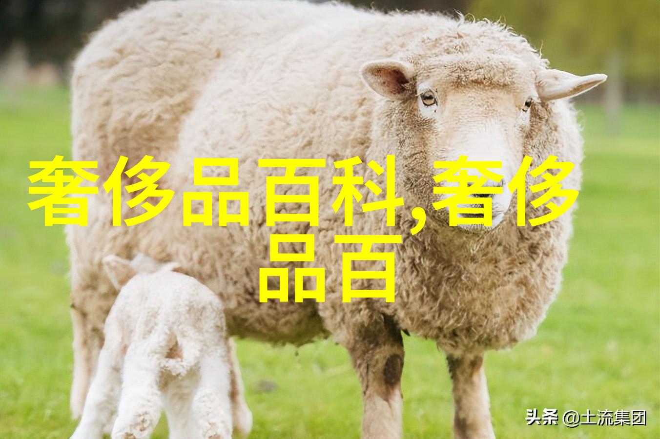 今年流行的高颜值拖鞋舒适时尚不臭脚