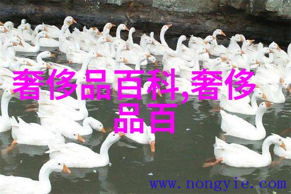 百合养护的正确姿势与距离如何为百合植物选择最佳坐姿和保持适当的空间