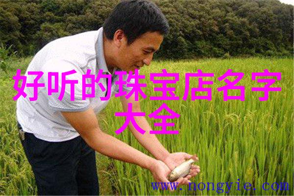 副职代表公司内部的重要辅助管理者角色
