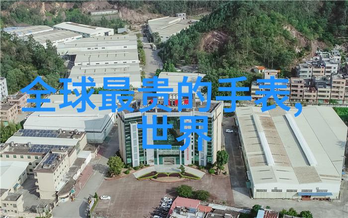 余生请多指教追逐梦想的无尽旅程
