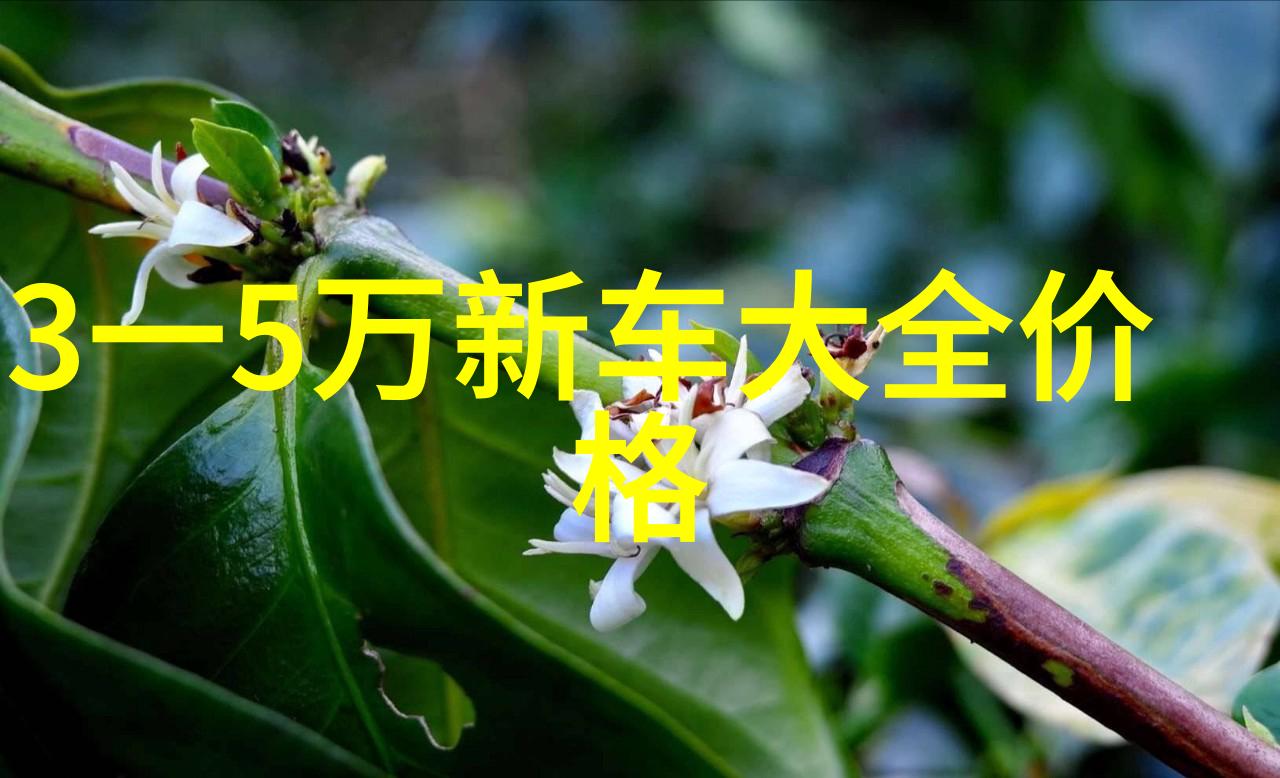五大脸型十个完美配对如何选出最适合你的发式