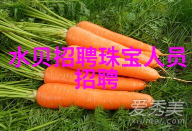 美食界的奇迹肥啾啾i的烹饪奇缘
