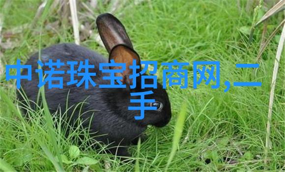 五十岁男性短发型的社会文化解读与心理影响研究