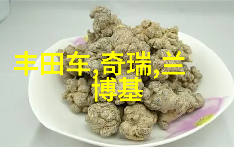 发丝之旅剪发艺术的基本法则
