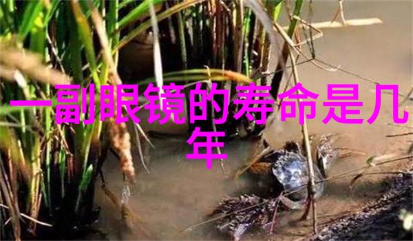 星恋宠姬虚拟偶像的爱与光芒