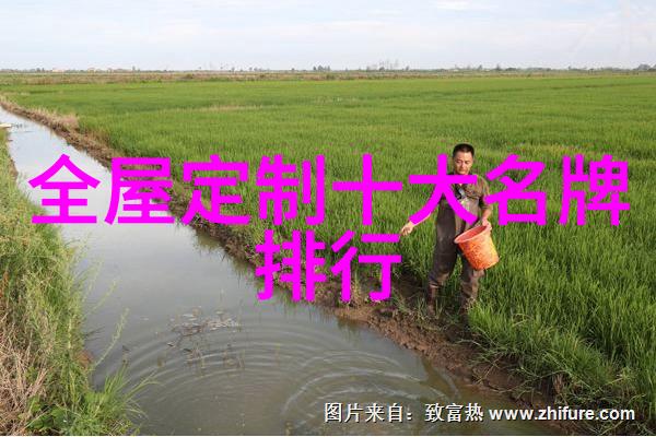 爱情珠宝全集浪漫爱情与珍贵珠宝的故事