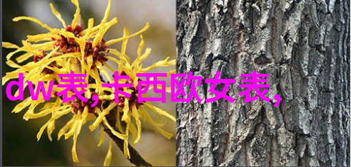 不是我点的外卖因为我有饭盒