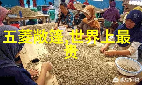 创意入门篇让你的清洁时间变得更有趣更有效率