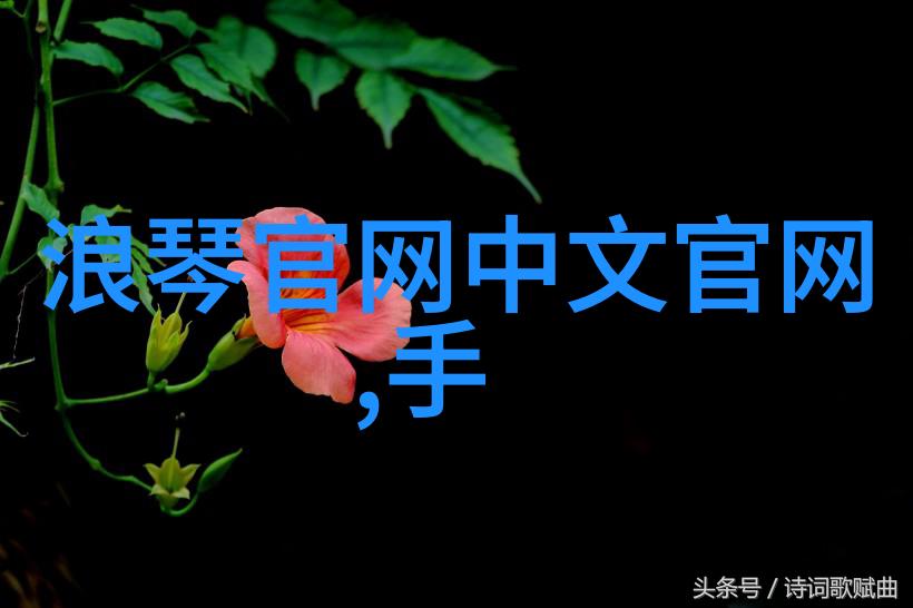 步履之间的味道探索