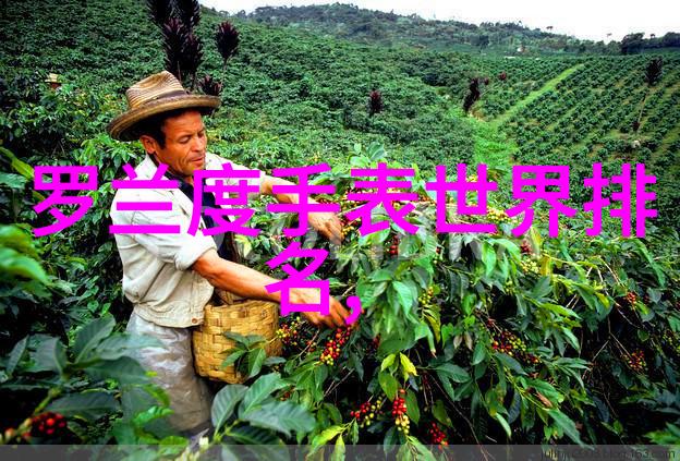 逆袭之渣反80和谐内容的奇迹重生