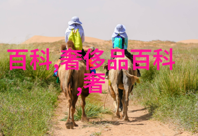 休闲裤配什么鞋我是如何在街头找到的完美搭档