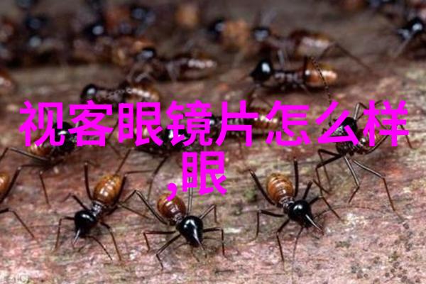 探索时尚边界女生发型的艺术与魅力