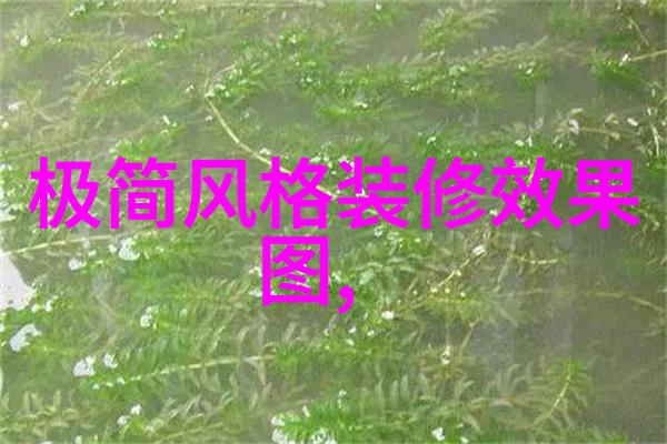 香港影视明星张智霖的国籍身份探究